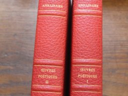 Apollinaire illustré 