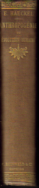 Haeckel__Anthrop_4f5d05a1ebd13.jpg