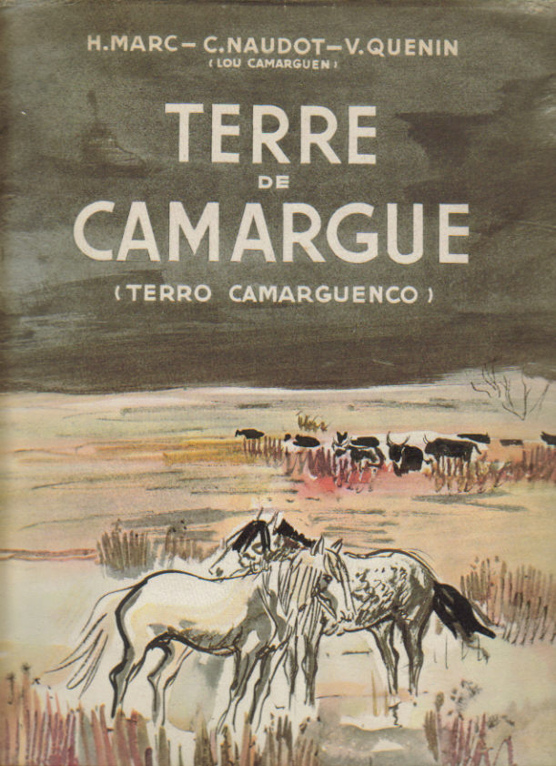 La_Camargue___il_4f512ee1ac968.jpg