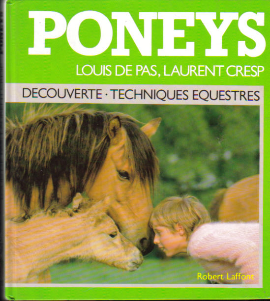 les_poneys__deco_5037c959d9c82.jpg
